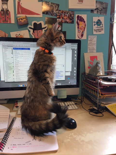 Greenselipar_télétravail